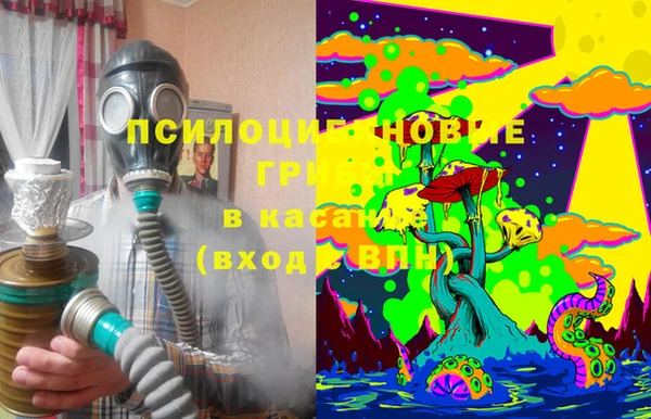 тгк Медногорск