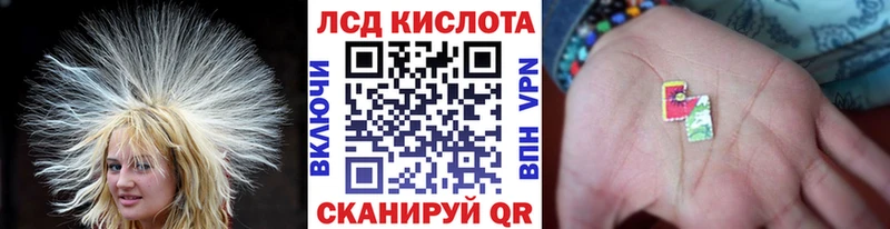 darknet как зайти  где найти наркотики  Новоузенск  Марки N-bome 1,8мг 