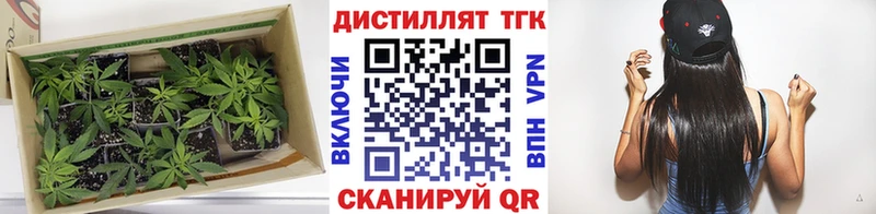 Дистиллят ТГК концентрат где купить наркотик Новоузенск