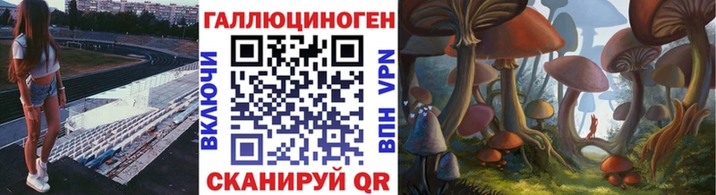 Псилоцибиновые грибы GOLDEN TEACHER Новоузенск