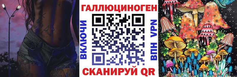 MEGA как войти  это Telegram  Псилоцибиновые грибы Magic Shrooms  Новоузенск 
